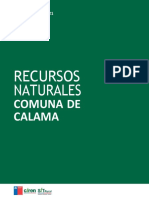 Calama RRNN PDF