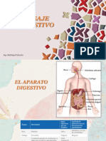 Masaje en Sistema Digestivo