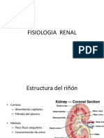 Fisiología Renal PDF