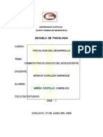 Monografia de Psicologia DL Desarrollo