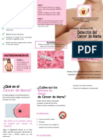 Triptico Cancer de Mama