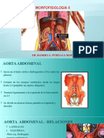 Semana 03 Morfo Ii