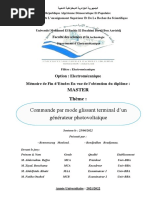 Mémoire de Fin D'étude Master ELM