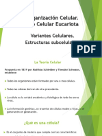 Clase Teorica 2 PDF