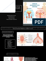 Aparato Reproductor Femenino y Masculino 1