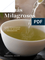 5 Chás Milagrosos PDF