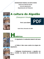 Aula de Algodão