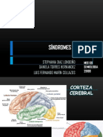 Sindromes Lobares