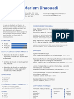 Coloré Dégradé Graphique Concepteur CV PDF