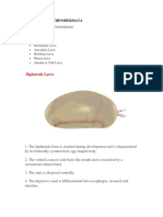 Larva of Echinodermata PDF