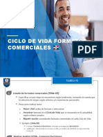 Tarea #2 - Ciclo de Vida Formatos Comerciales-2