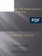 Anatomy of The Peritoneal Cavity & Organs