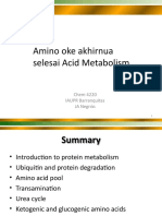 Amino Acids Metabolism