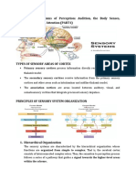 Biological Psychology Lesson 5 Notes