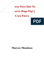 5 Trucos para Que Tu Cachorro Haga Pipí y Caca Fuera