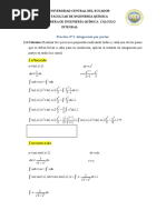 Hoja Guía Práctica N 1 - Integral