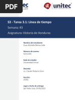 S3 - Tarea 3.1 Línea de Tiempo Duan Michelle Molina