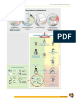 Paginas Minuto de Oro PDF