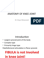 Anatomy of Knee Joint