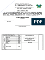 02 Modelo Certificado - 3000