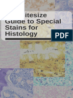 Guide To Special Stains For Histology Bitesize Bio