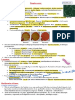 Résumé Streptocoque