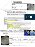 Morfo Lab SP4