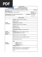 Informe Bacter Salmonella Typhi