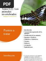 Tema 4 Los Animales (I) Animales Invertebrados