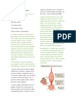 M1-P2 (Under Pressure) : Objetivo 1) Compreender A Fisiologia Da Pressão Arterial (Pa: DC (VSXFC) X RVP)