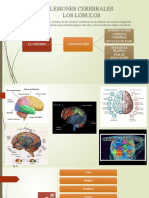 4 Lesiones Cerebrales