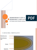 Hidrodisección e Hidrodelaminación