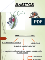 Parasitos - Protozoos