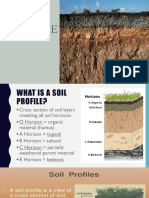 Soil Profile