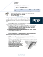 Guía 2 Sistema Digestivo 1