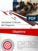 Variables Críticas Del Negocio