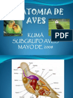 Anatomia de Aves