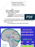 Infections Bactériennes Du Système Nerveux Central