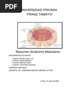 Inf. SINDROMES MEDULARES