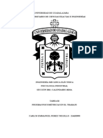 Pruebas Psicometricas en El Trabajo