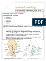 Neck and Head Masses