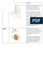 Types of Body System