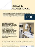 Rol Profesional