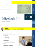 Micología 4