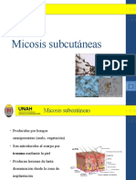 Micología 3j