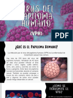 Papiloma Humano