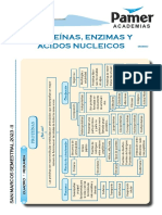 BIO - Sem2 - Proteínas, Enzimas y Ácidos Nucleicos