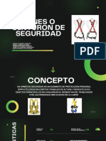 Arnes de Seguridad