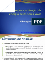 10 - Obtenção de Energia