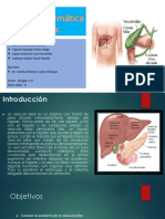 Revision Sistematica Grupal